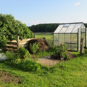 W jaki sposób stosować keramzyt dla swoich roślin?